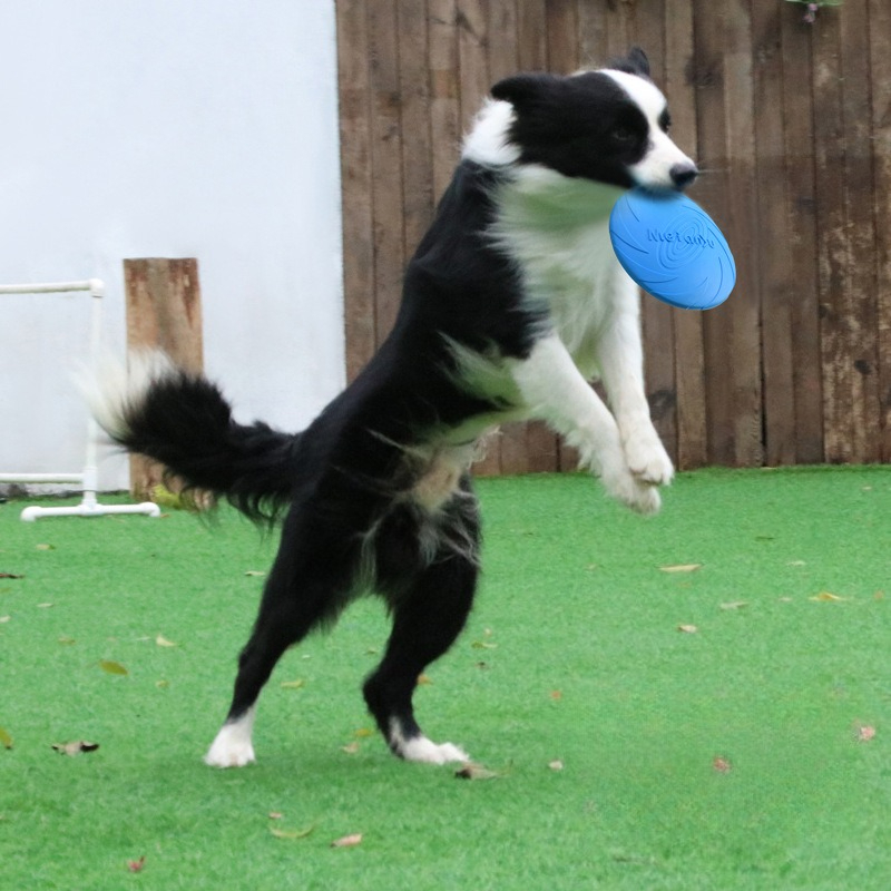 Frisbee Freestyle Disc - 犬用フリスビー、ボーダーアニマルペットドッグスペシャルフリスビー、耐噛みトレーニングフリスビー、プルバックスタンダードドッグトイ、ペット用品