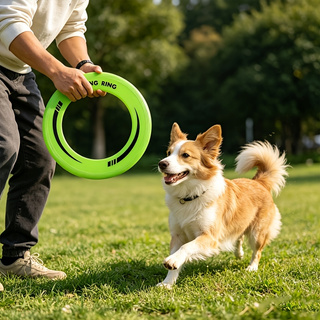 Frisbee Freestyle Disc - 1PC 耐久性のある中空リングフリスビーソフトPPフライングディスクポータブル屋外ビーチスポーツ用