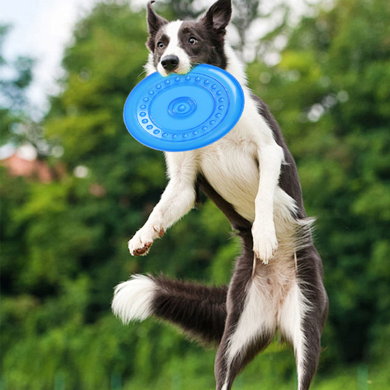 Frisbee Freestyle Disc - 耐久性のある噛むことができるペットトレーニングフリスビーおもちゃ、破れにくい柔らかいゴム製フライングディスク、犬の運動遊び、フェッチトレーニング用品