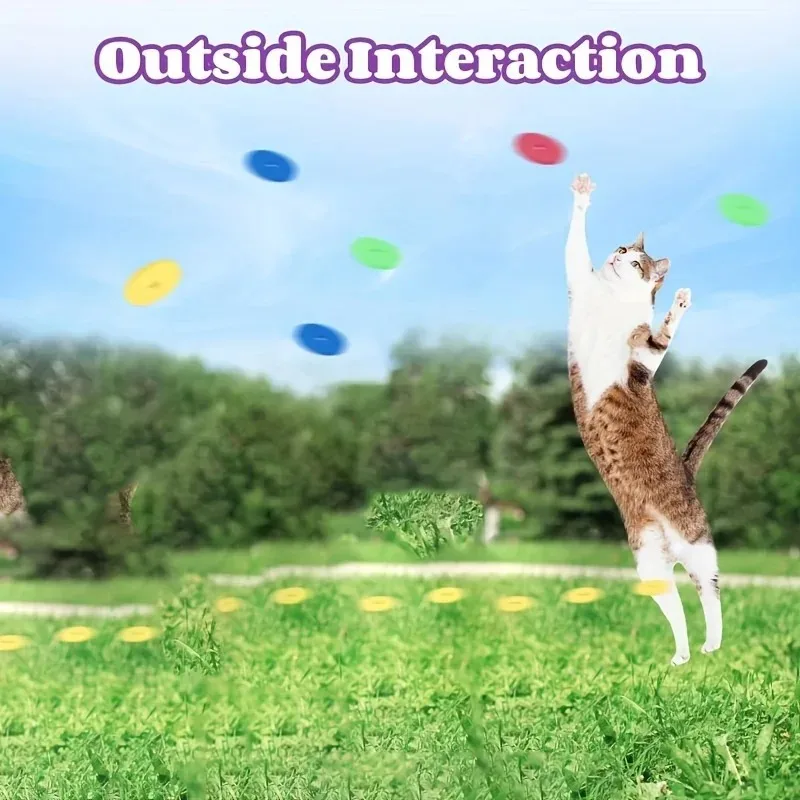面白い猫のおもちゃ クリエイティブなカブ型ガン 15個の再利 - Frisbee Freestyle Disc のレビューと価格
