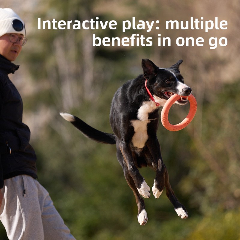 噛みつきにくいソフトプルリングフリスビー、犬の訓練用TPR素 - Frisbee Freestyle Disc のレビューと価格