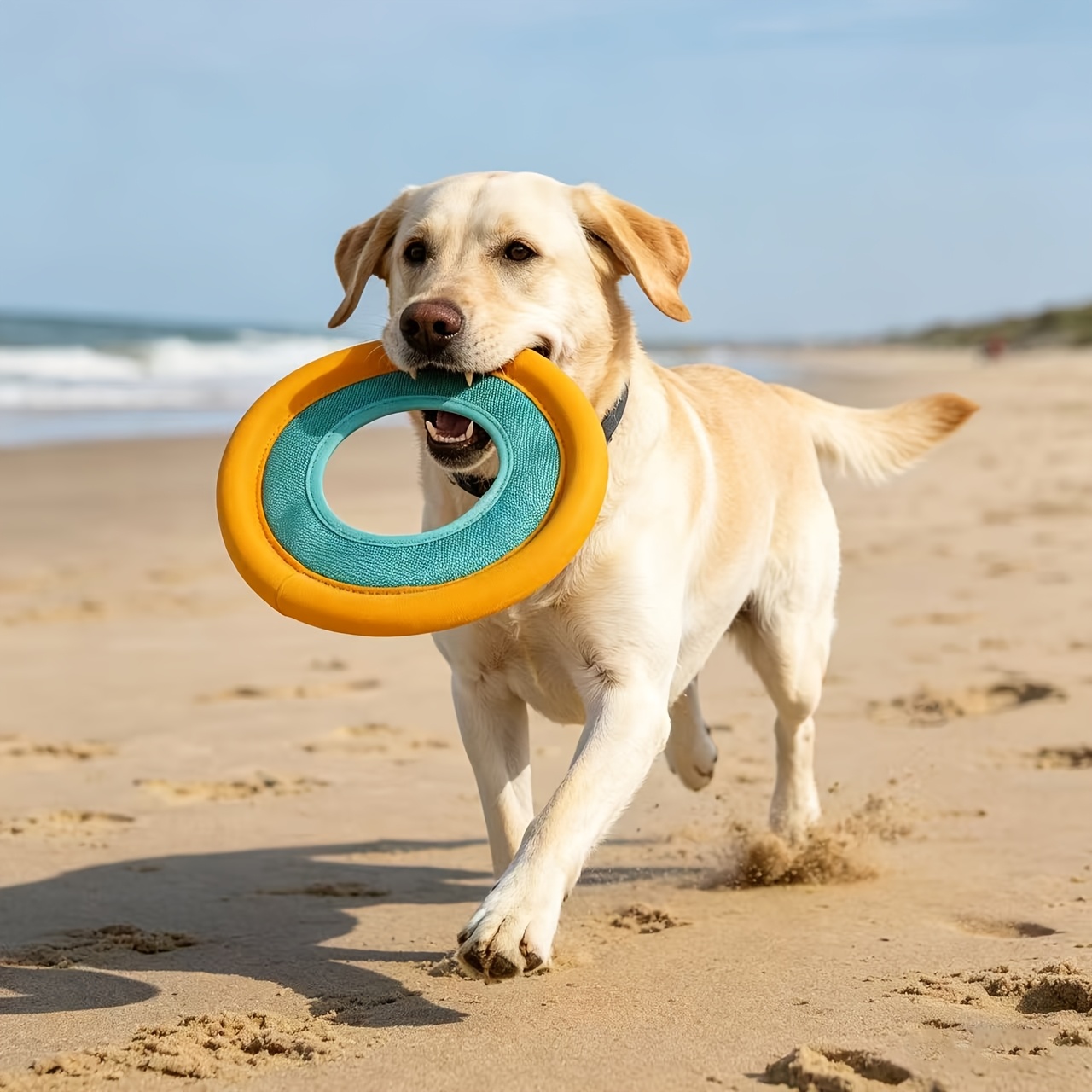 フローティングドッグフリスビー、中型犬用屋外インタラクティブ - Frisbee Freestyle Disc のレビューと価格
