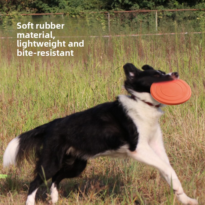 ソフトフライングドッグトイ、インタラクティブトレーニングフリ - Frisbee Freestyle Disc のレビューと価格