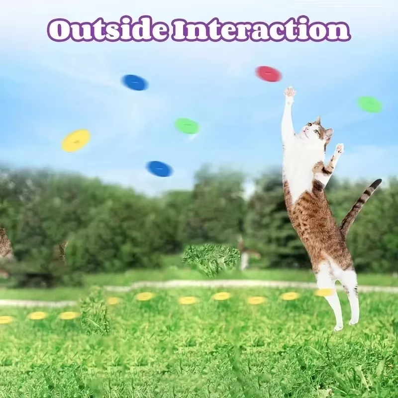 面白い猫のおもちゃ クリエイティブなカブ型ガン 15個の再利 - Frisbee Freestyle Disc のレビューと価格