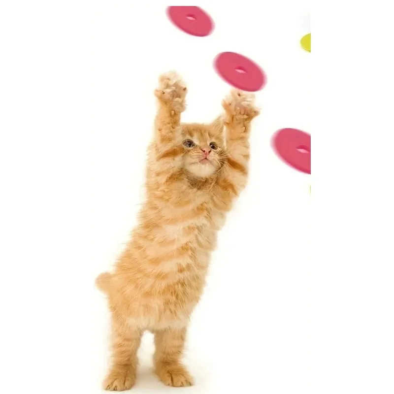 面白い猫のおもちゃクリエイティブカブ銃再利用可能なフォームフ - Frisbee Freestyle Disc のレビューと価格