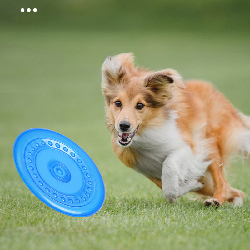 耐久性のある噛むことができるペットトレーニングフリスビーおも - Frisbee Freestyle Disc のレビューと価格