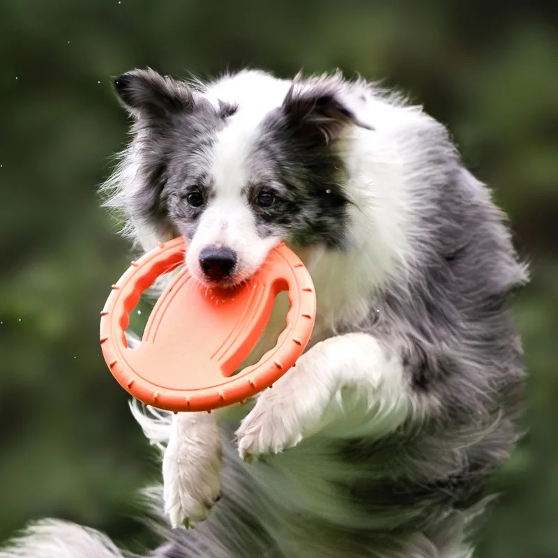 耐久性のある犬用フライングディスクおもちゃ、ペットトレーニン - Frisbee Freestyle Disc のレビューと価格