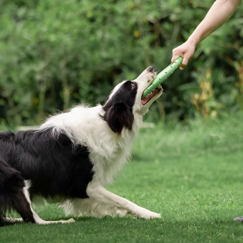 耐久性のある犬用フライングディスクおもちゃ、ペットトレーニン - Frisbee Freestyle Disc のレビューと価格